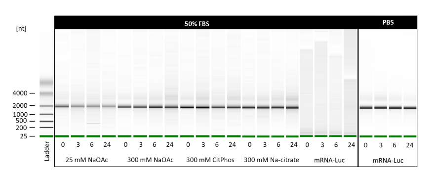 mRNA完整性检测